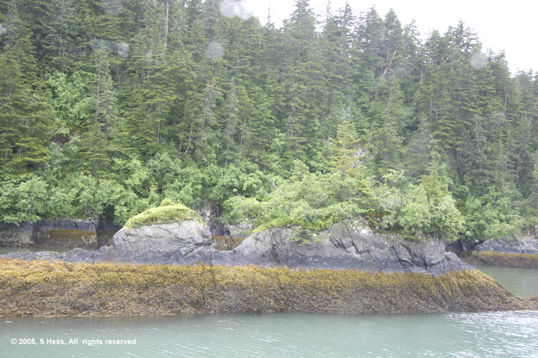 One of the Islands on Prince William Sound